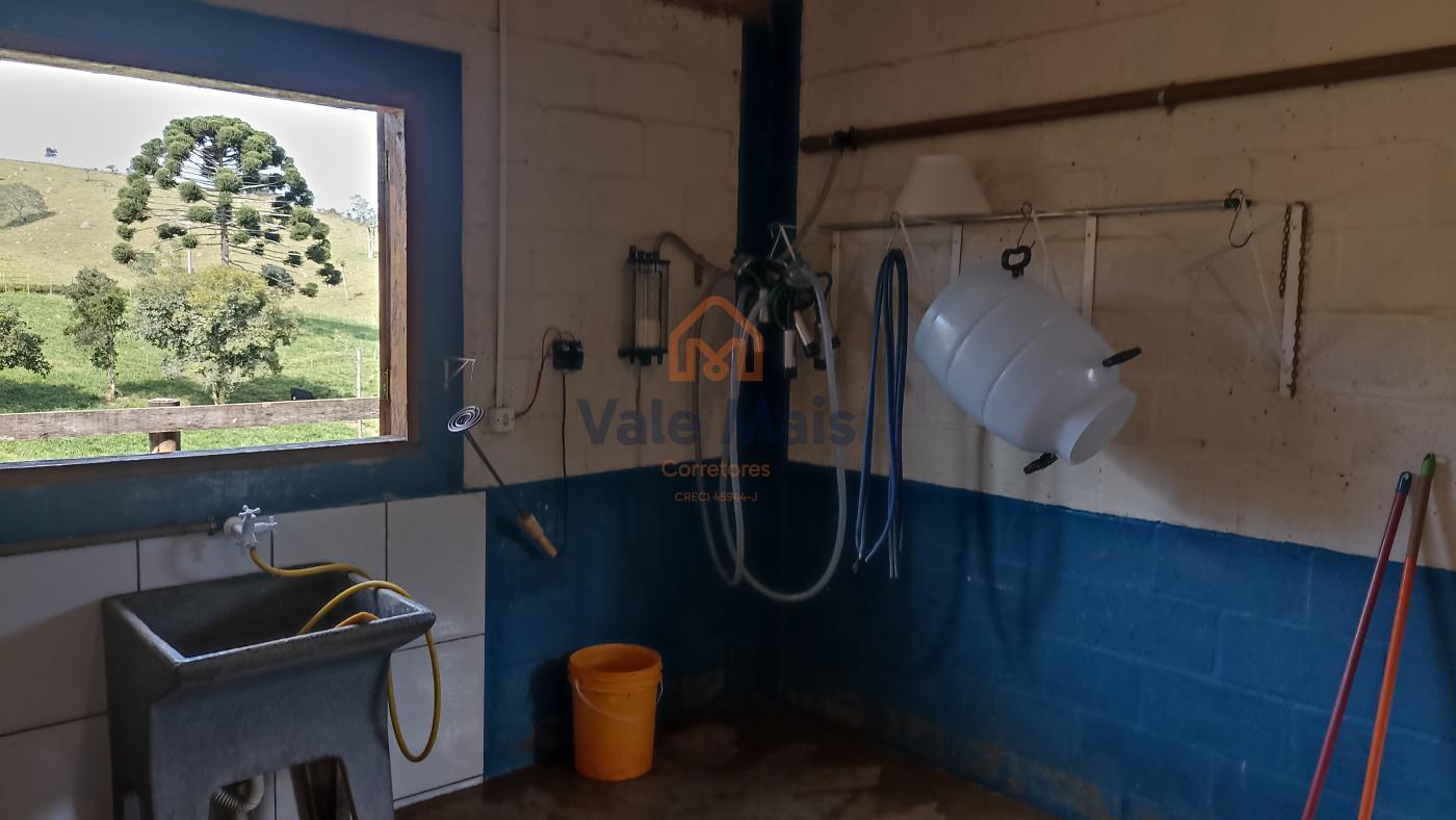 Fazenda, 7 hectares - Foto 26