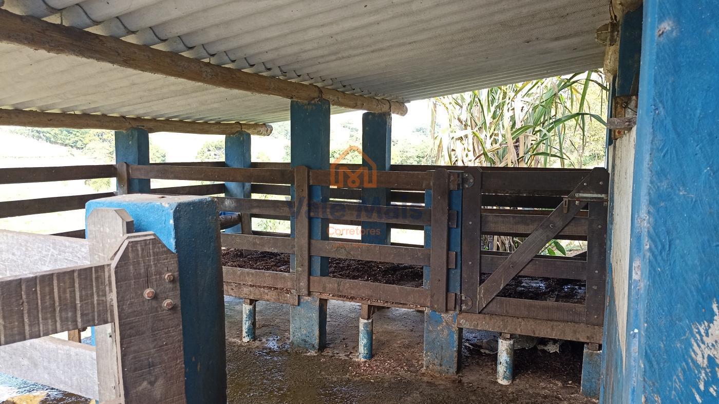 Fazenda, 7 hectares - Foto 24