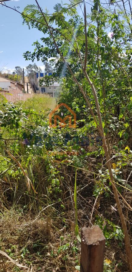 Terreno, 2 hectares - Foto 14