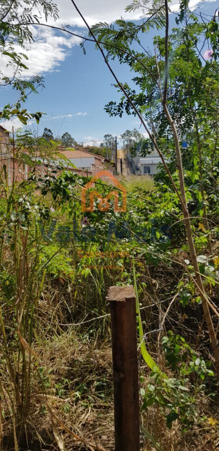 Terreno, 2 hectares - Foto 12