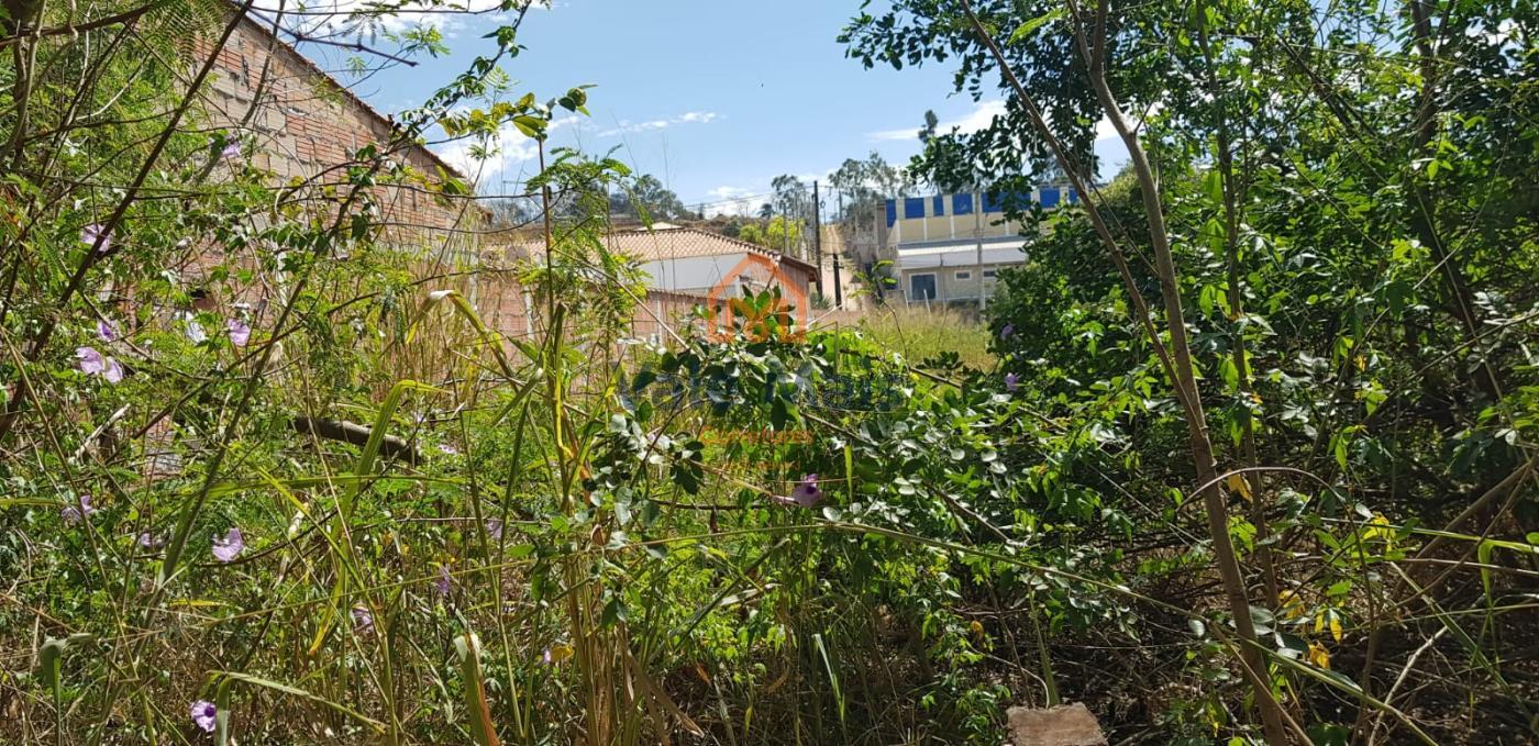 Terreno, 2 hectares - Foto 15