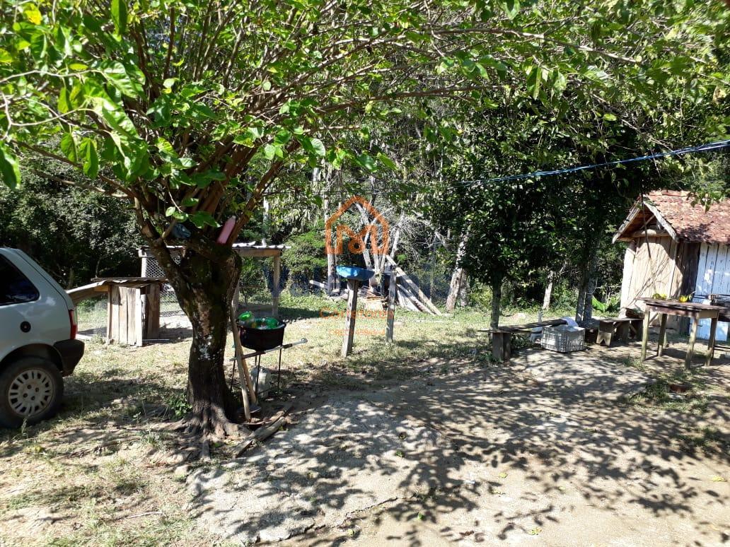 Fazenda, 121 hectares - Foto 13