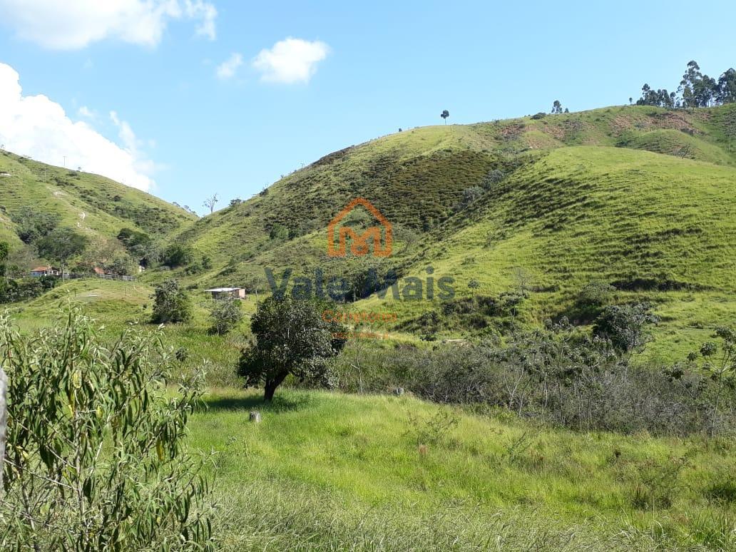 Fazenda, 121 hectares - Foto 7