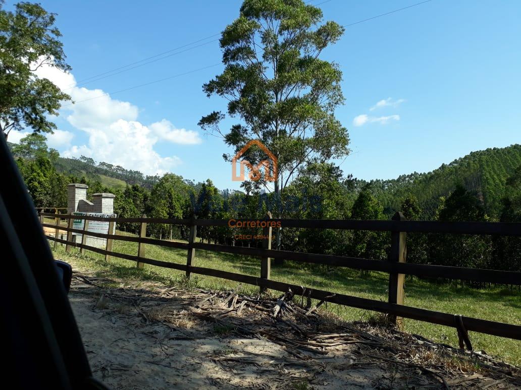 Fazenda, 121 hectares - Foto 5