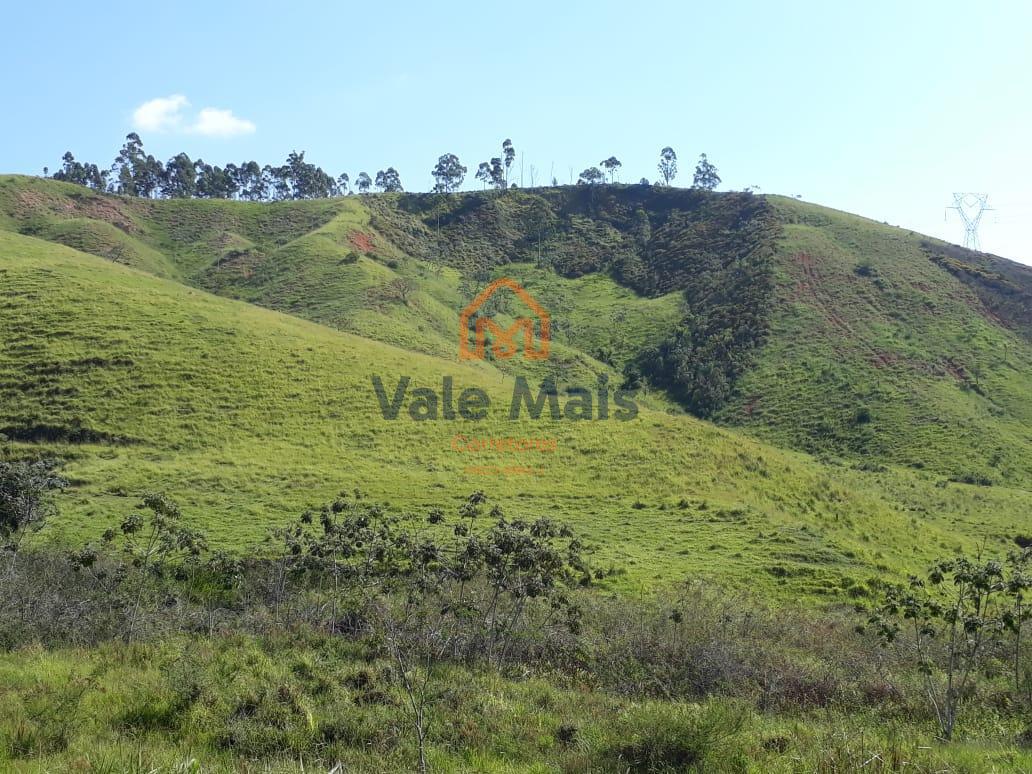 Fazenda, 121 hectares - Foto 9