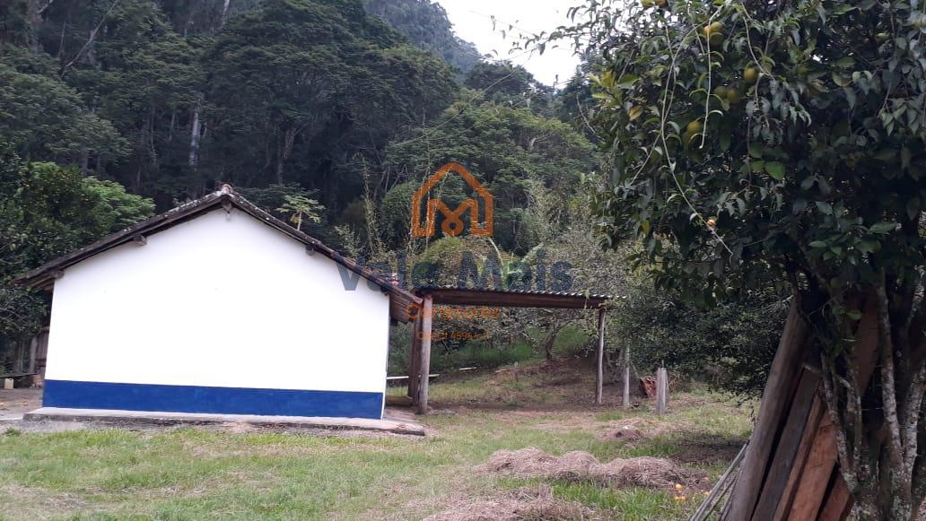 Fazenda, 121 hectares - Foto 12