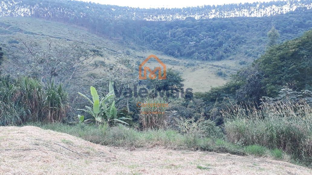 Fazenda, 121 hectares - Foto 15