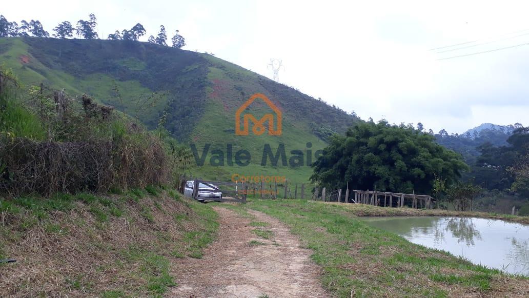 Fazenda, 121 hectares - Foto 11