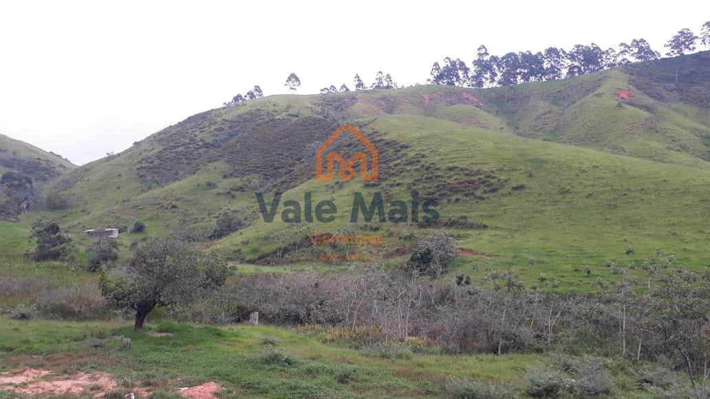 Fazenda, 121 hectares - Foto 8