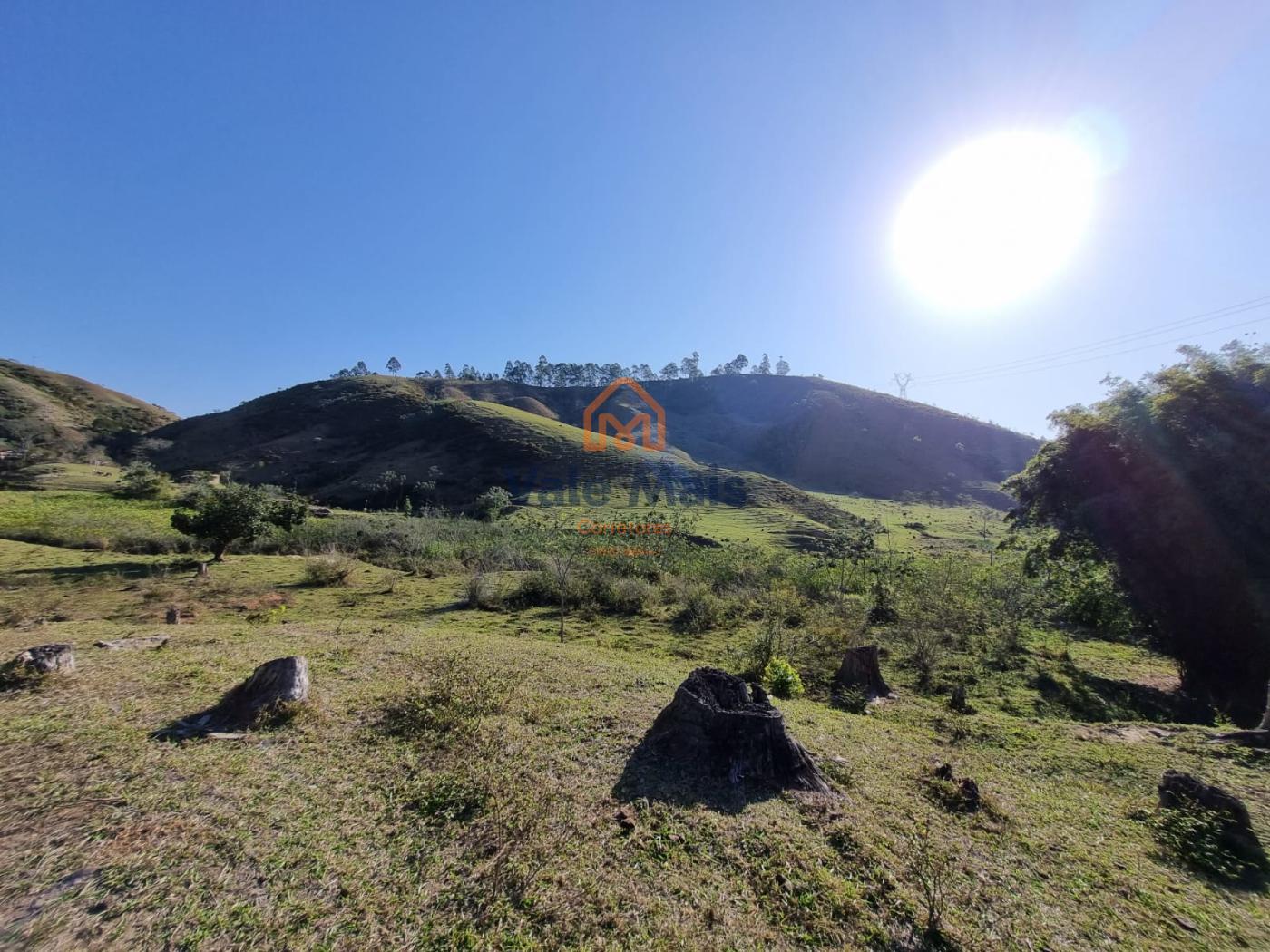 Fazenda, 121 hectares - Foto 23