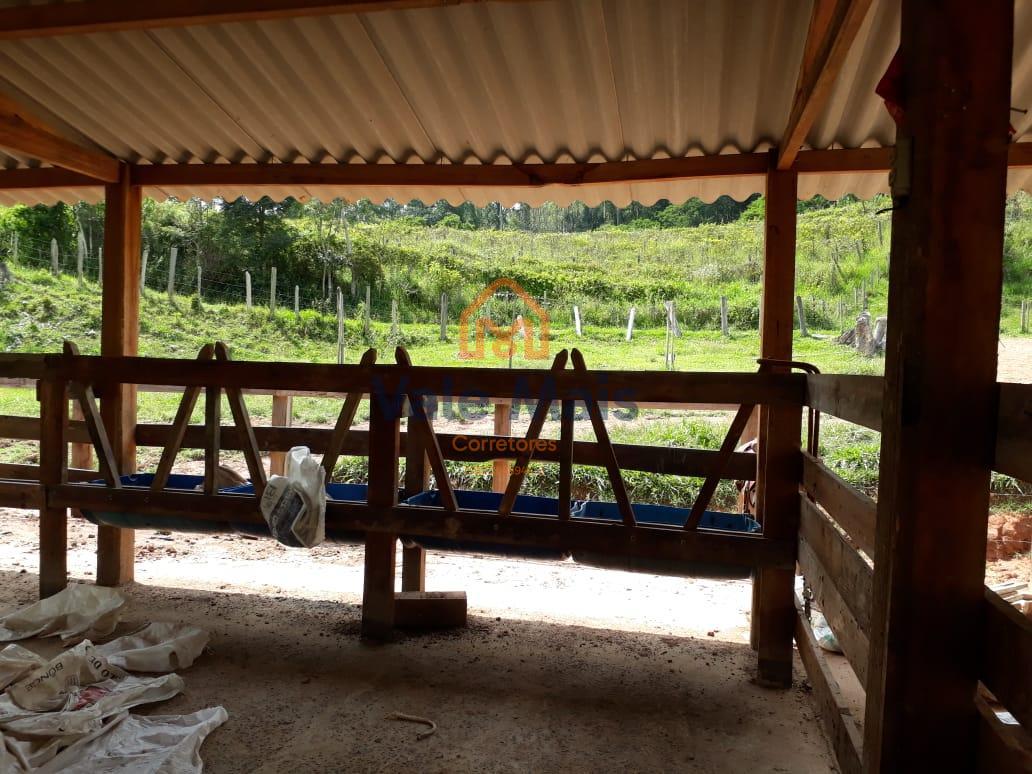 Fazenda, 121 hectares - Foto 21