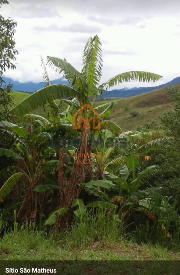 Chácara, 4 quartos, 2 hectares - Foto 6