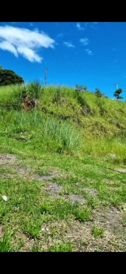 Terreno, 1455 m² - Foto 2