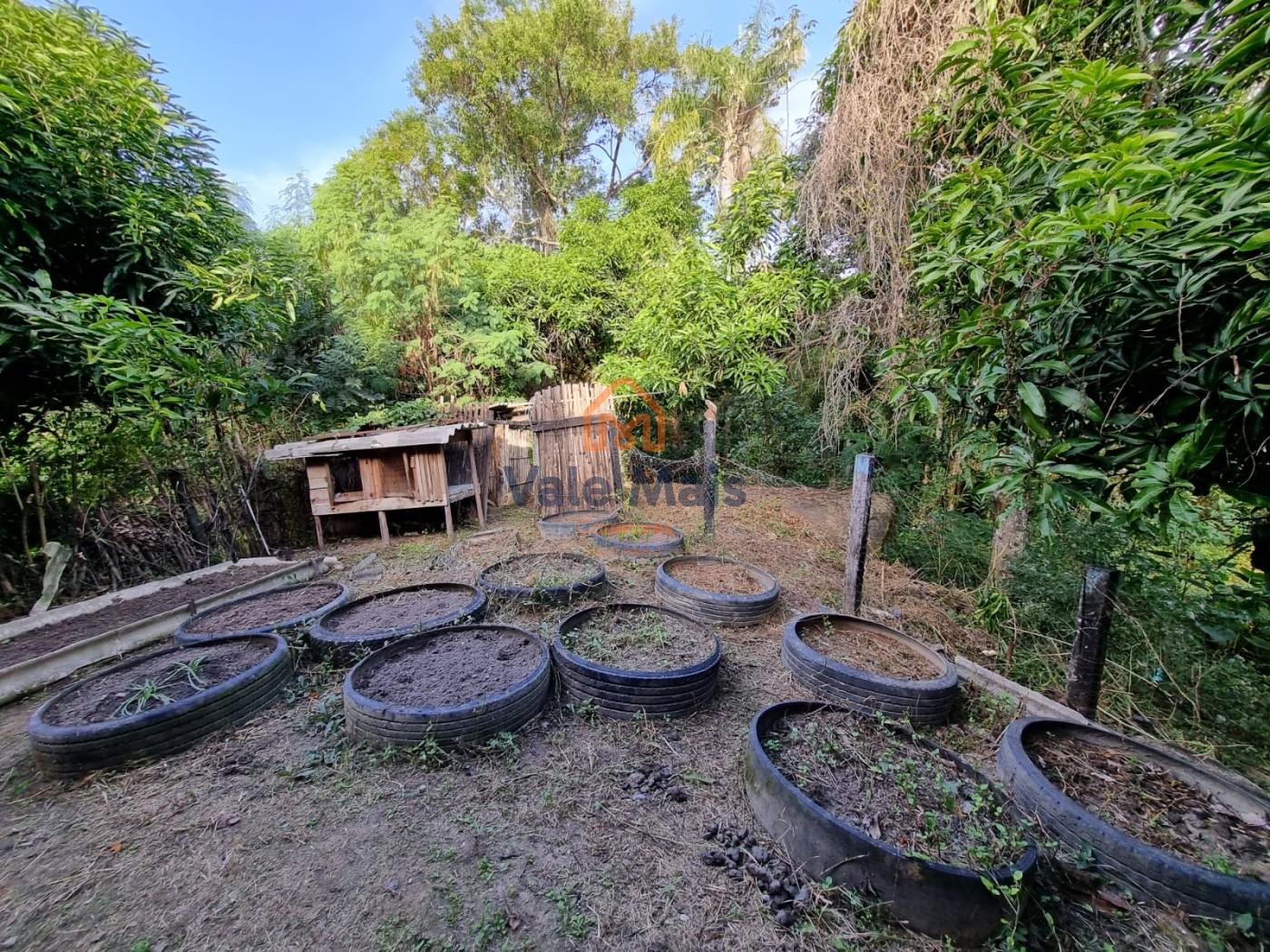 Chácara, 4 quartos, 5000 m² - Foto 37