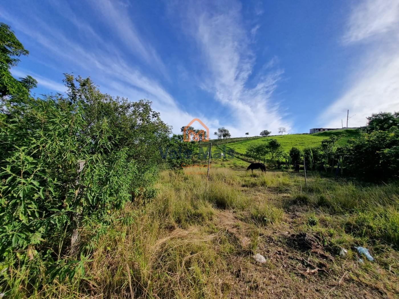 Chácara, 4 quartos, 5000 m² - Foto 42