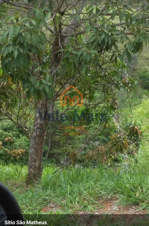 Chácara, 4 quartos, 2 hectares - Foto 4