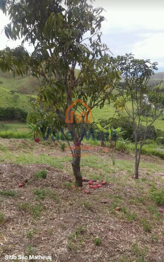 Chácara, 4 quartos, 2 hectares - Foto 7