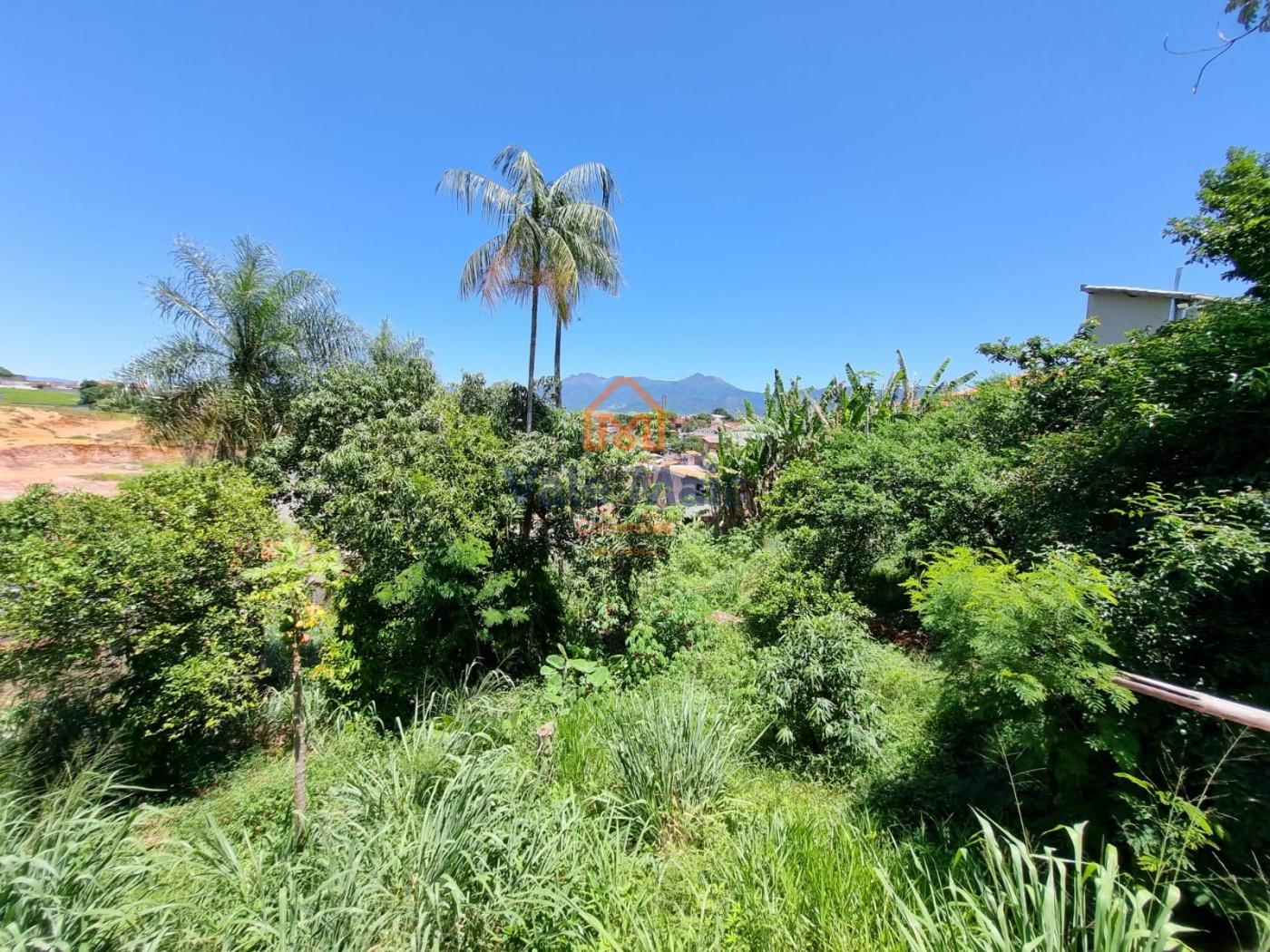 Casa, 4 quartos - Foto 30