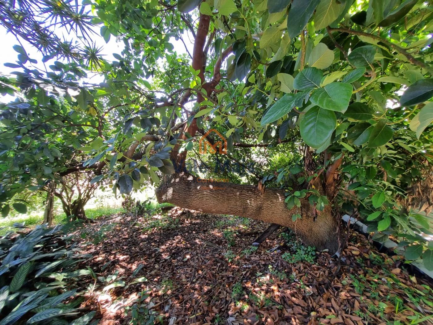 Casa, 4 quartos - Foto 31