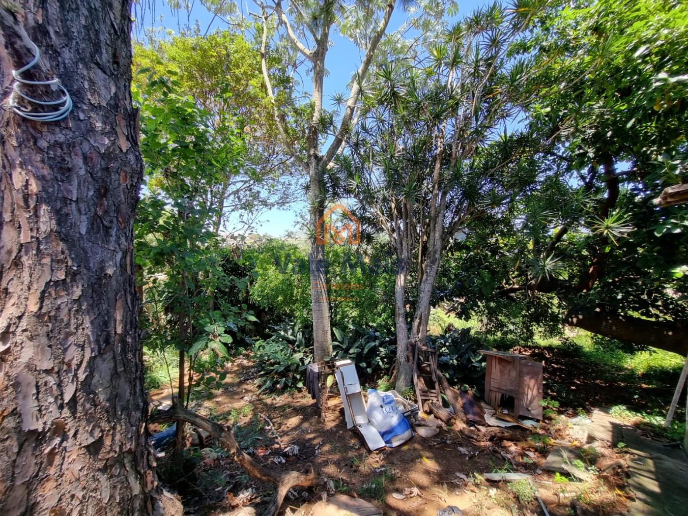 Casa, 4 quartos - Foto 32