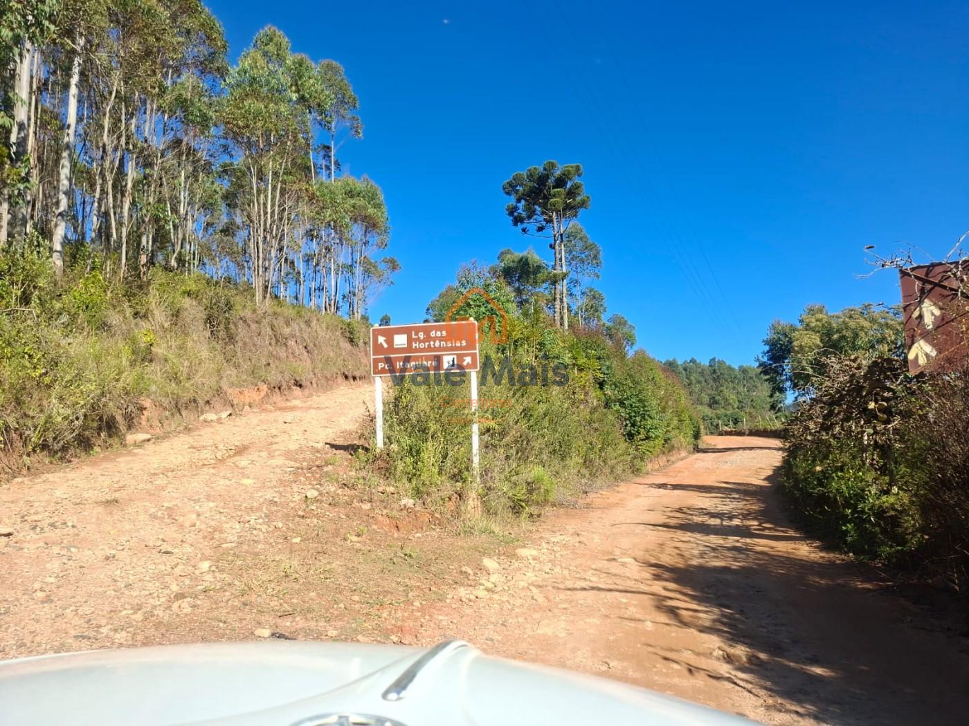 Fazenda, 19 hectares - Foto 2
