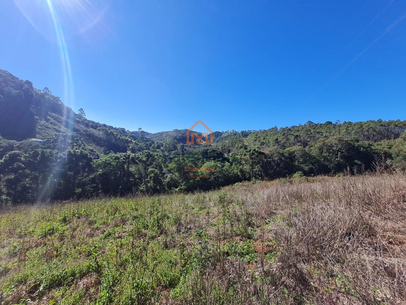 Fazenda, 19 hectares - Foto 10