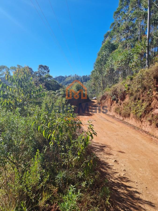 Fazenda, 19 hectares - Foto 6