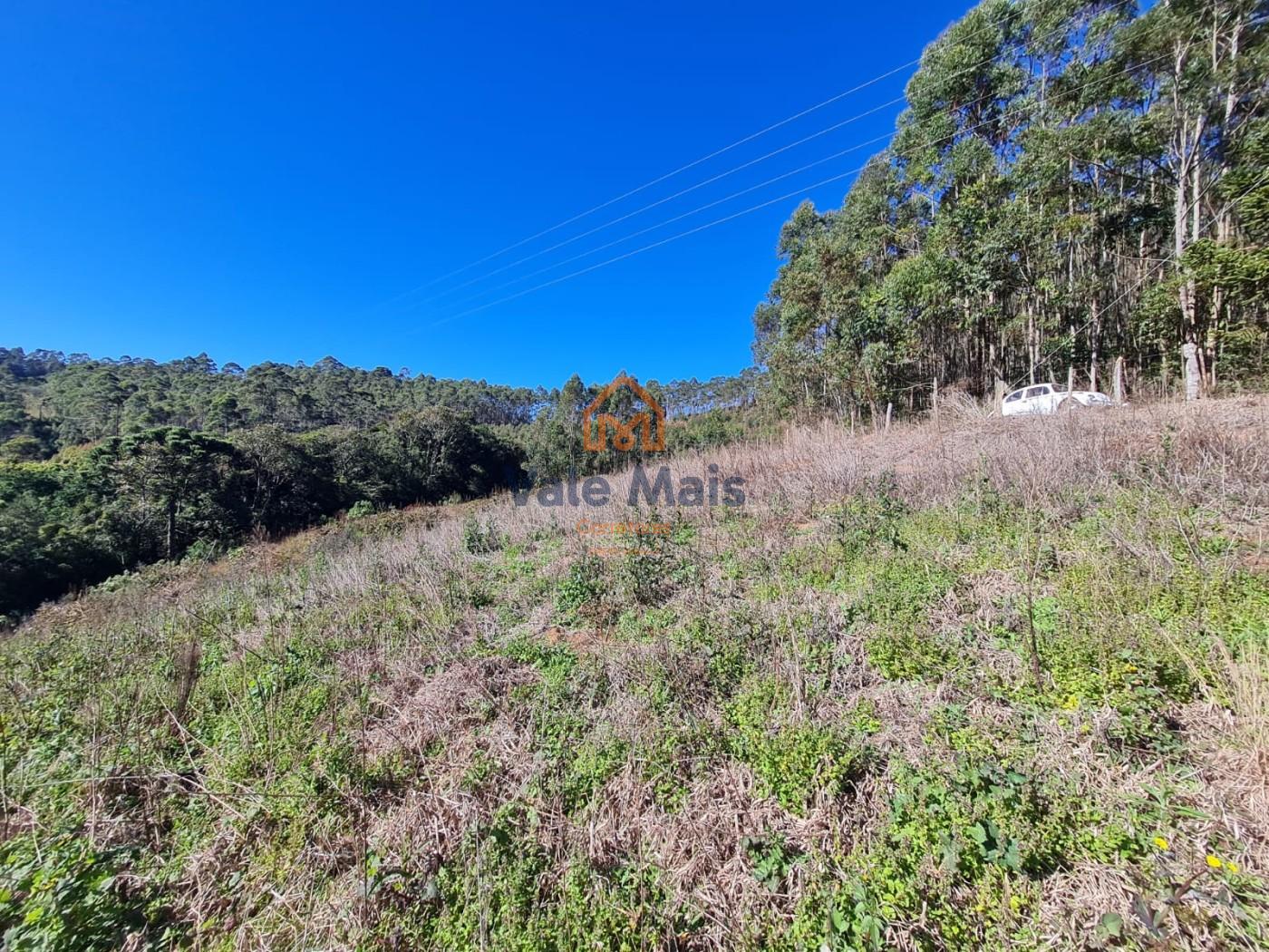 Fazenda, 19 hectares - Foto 7