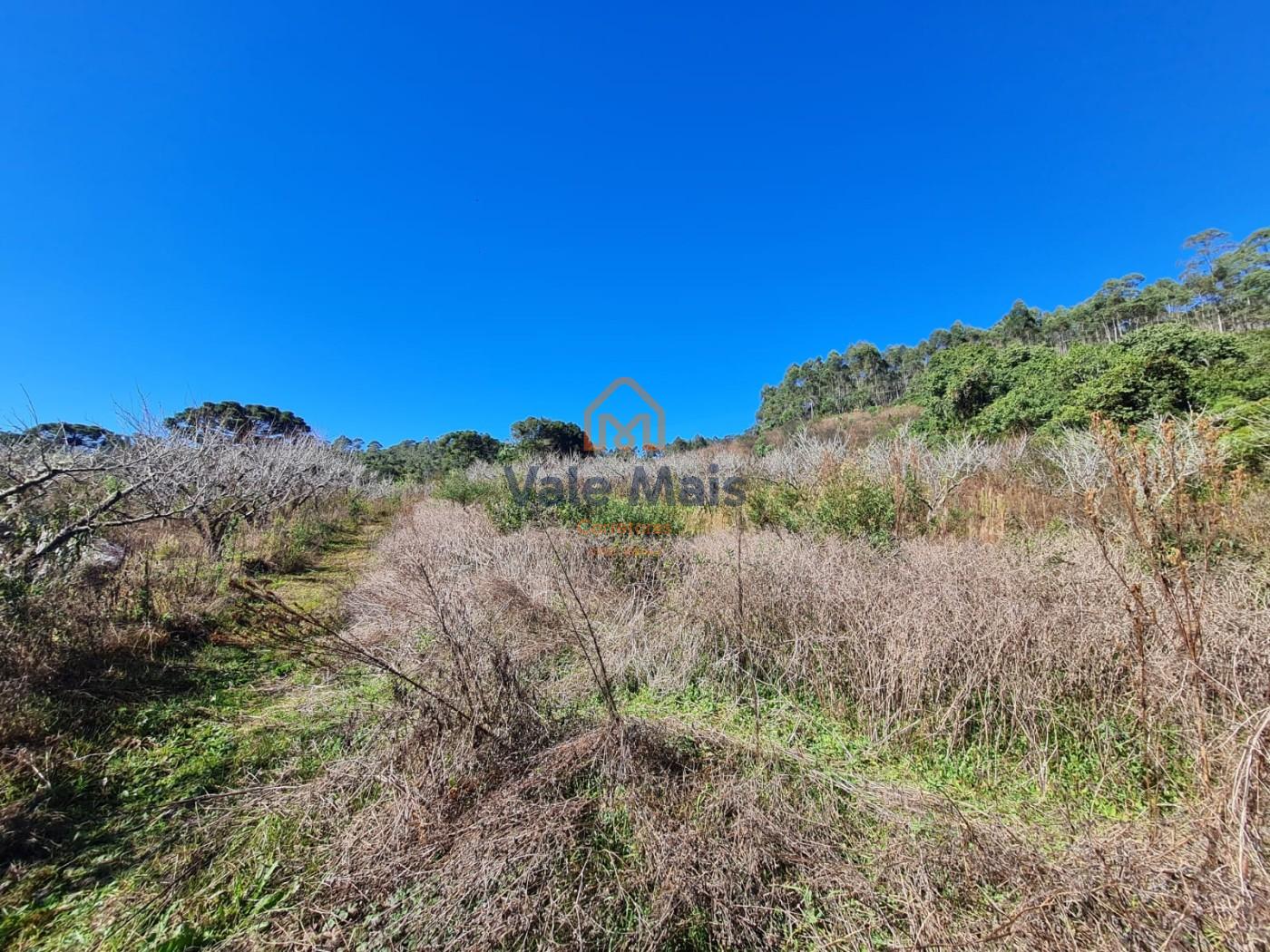 Fazenda, 19 hectares - Foto 12