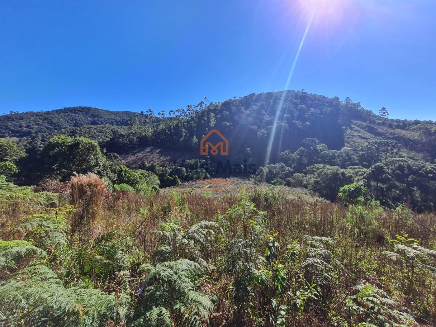 Fazenda, 19 hectares - Foto 1