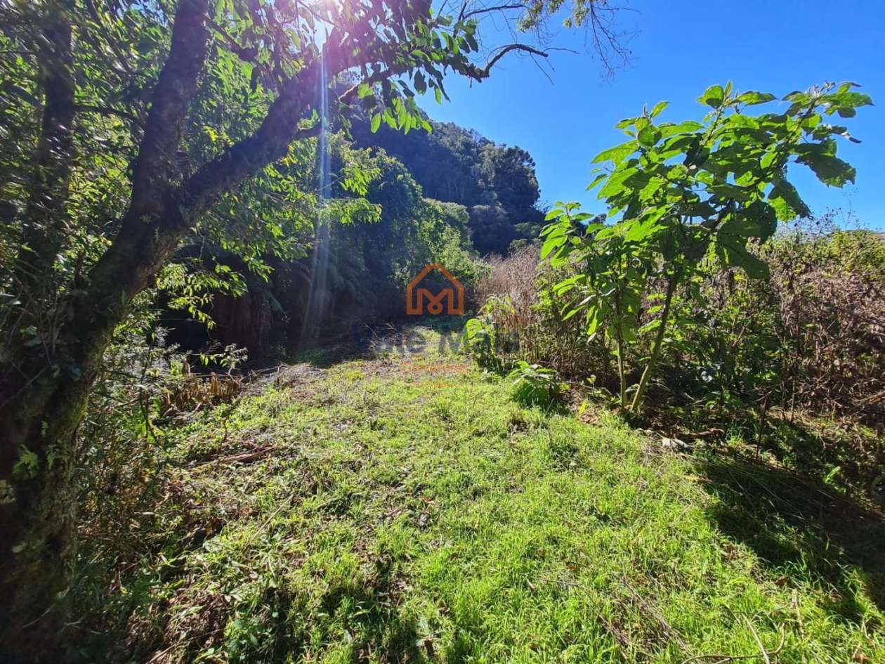 Fazenda, 19 hectares - Foto 25