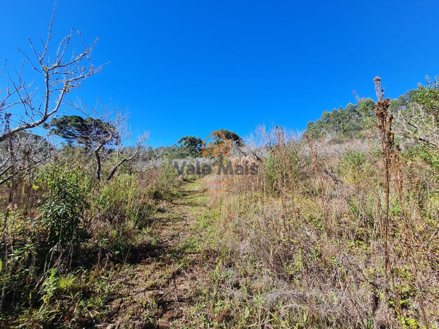 Fazenda, 19 hectares - Foto 11