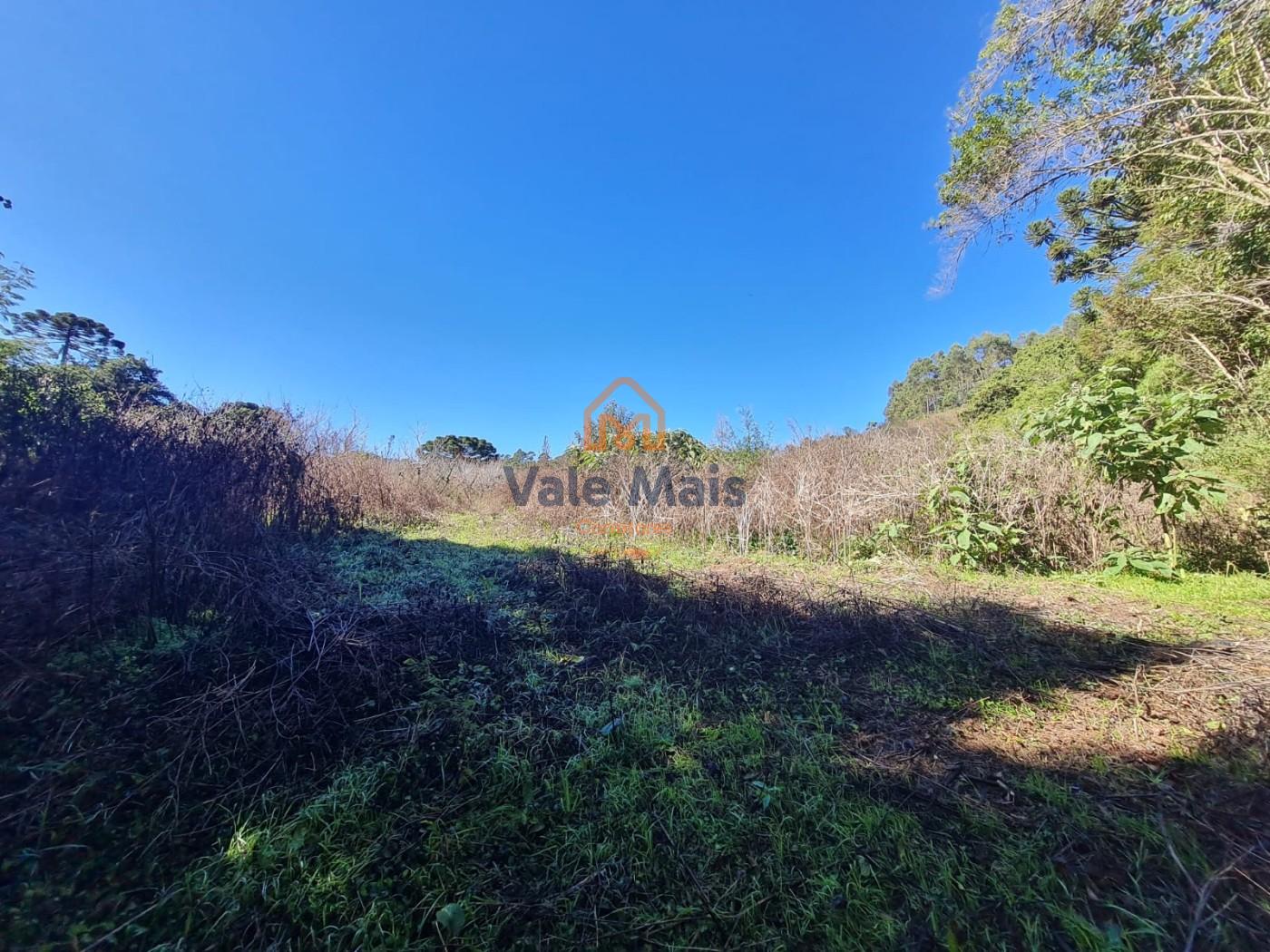 Fazenda, 19 hectares - Foto 28