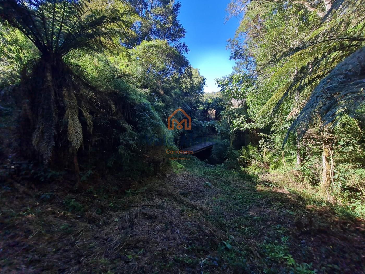 Fazenda, 19 hectares - Foto 26