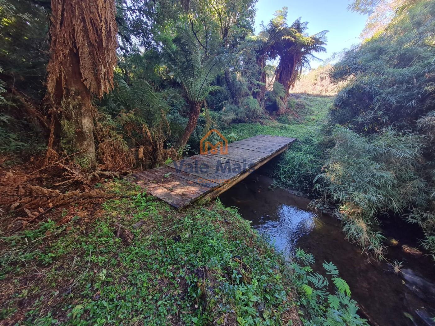Fazenda, 19 hectares - Foto 33