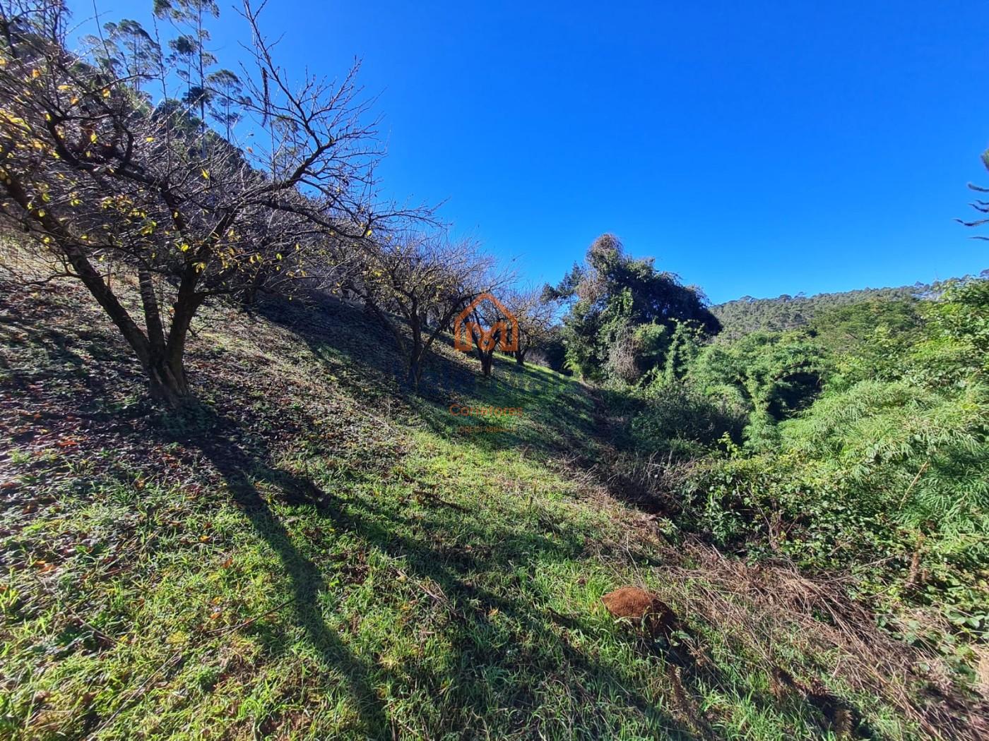 Fazenda, 19 hectares - Foto 24