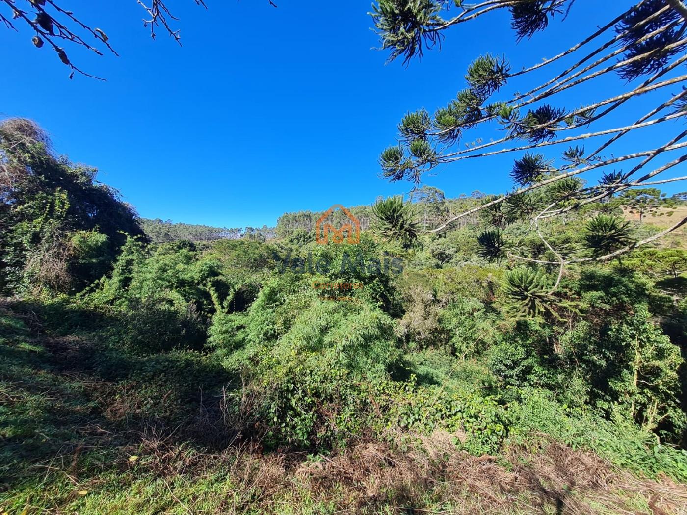 Fazenda, 19 hectares - Foto 23
