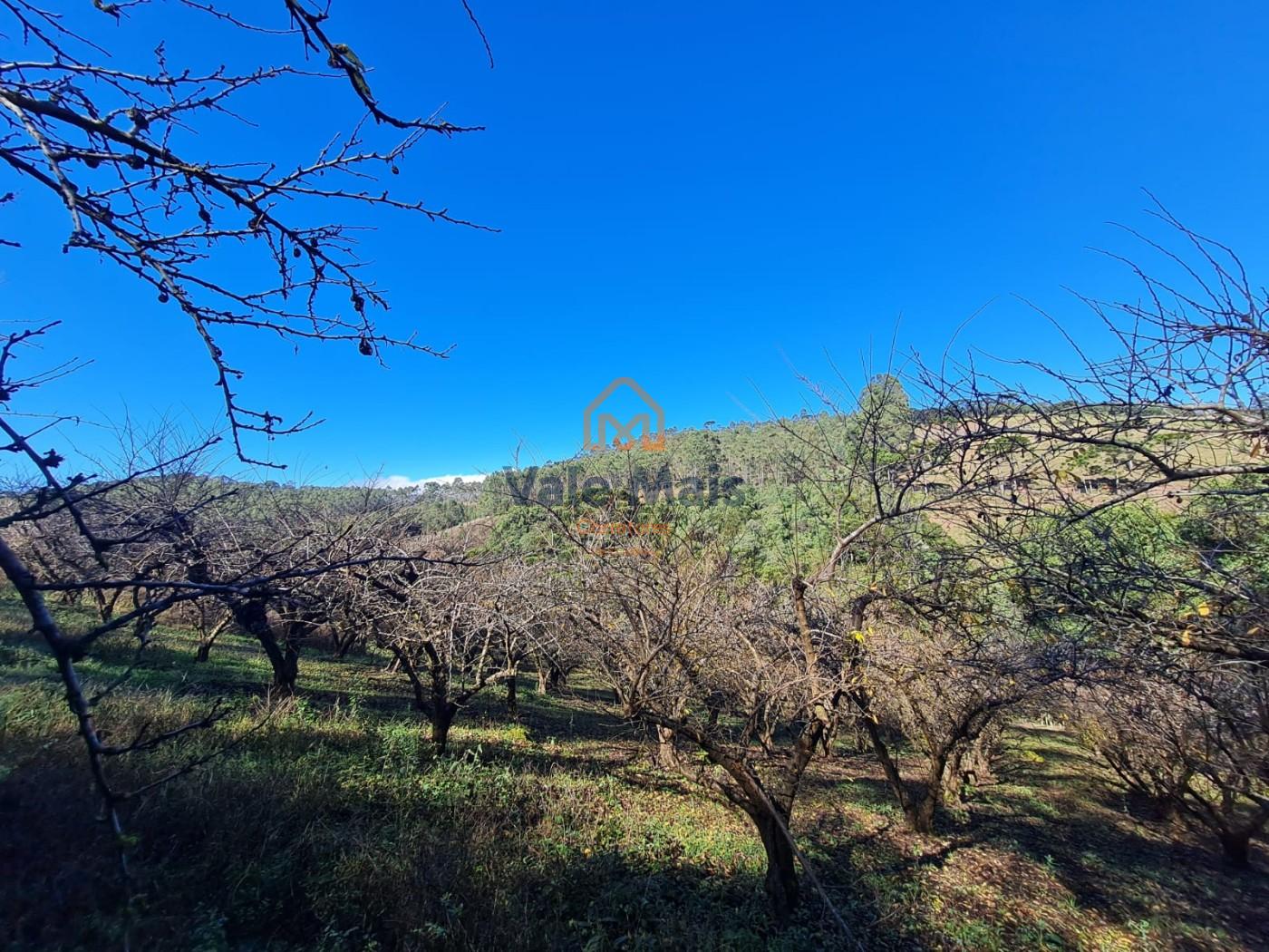 Fazenda, 19 hectares - Foto 31