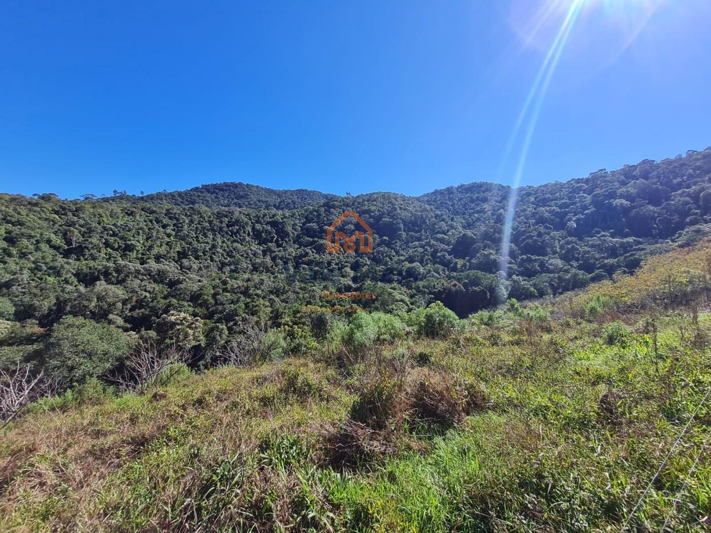 Fazenda, 19 hectares - Foto 13
