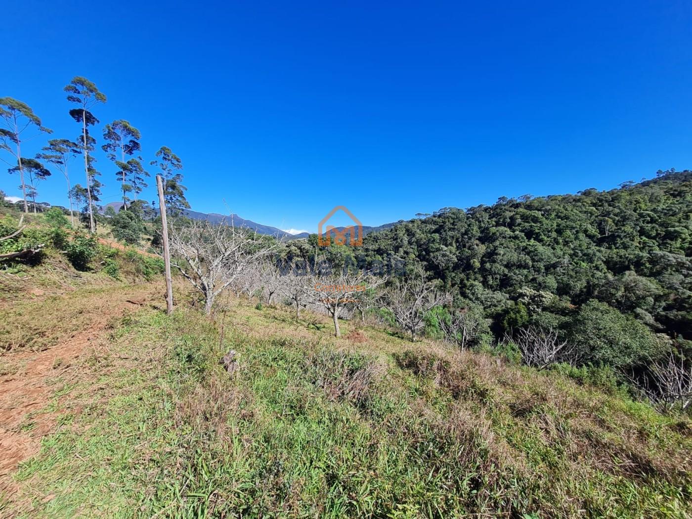 Fazenda, 19 hectares - Foto 14