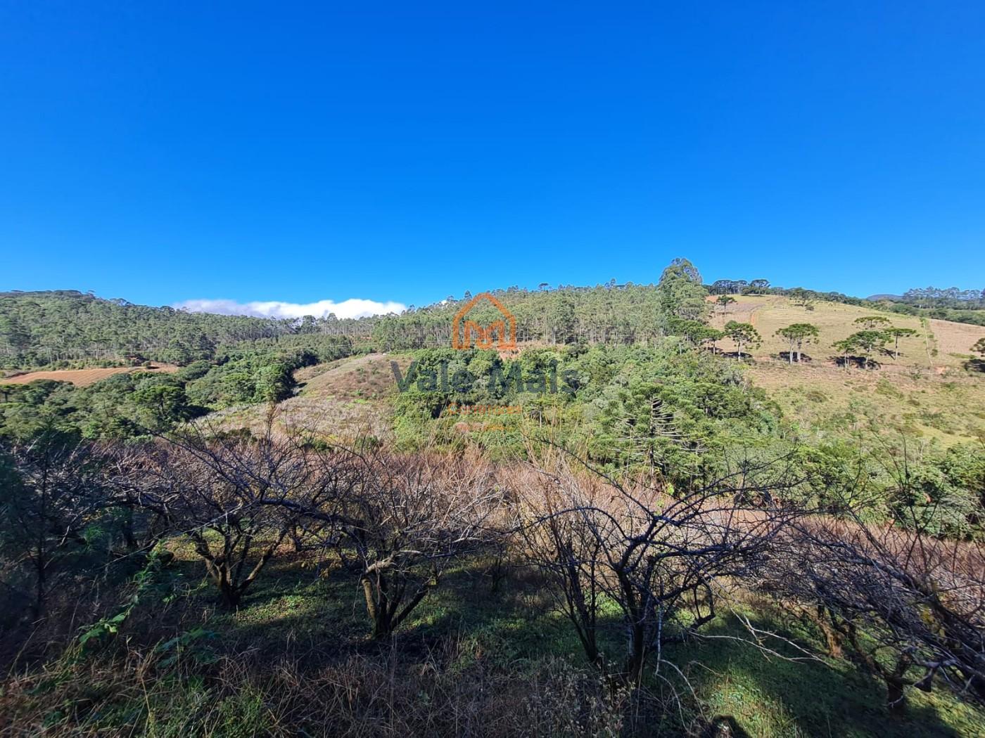 Fazenda, 19 hectares - Foto 29