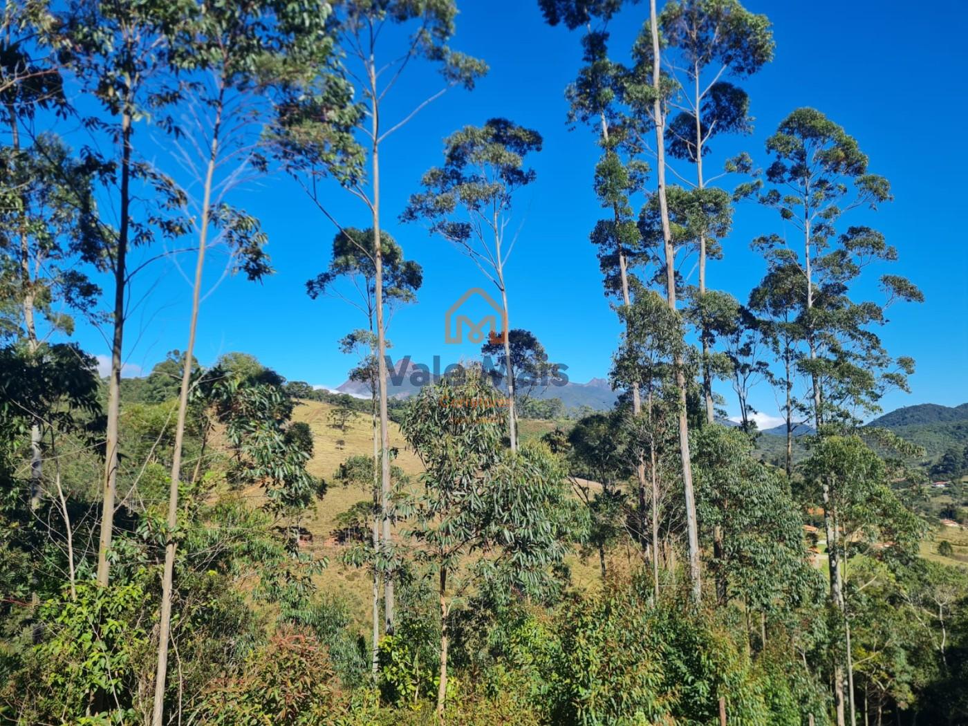 Fazenda, 19 hectares - Foto 35