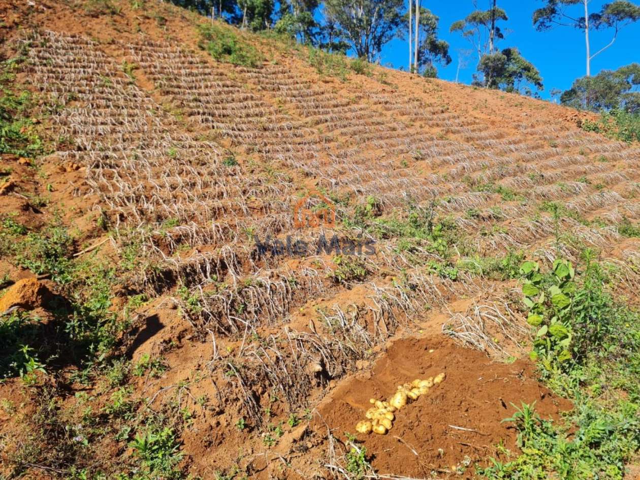 Fazenda, 19 hectares - Foto 30