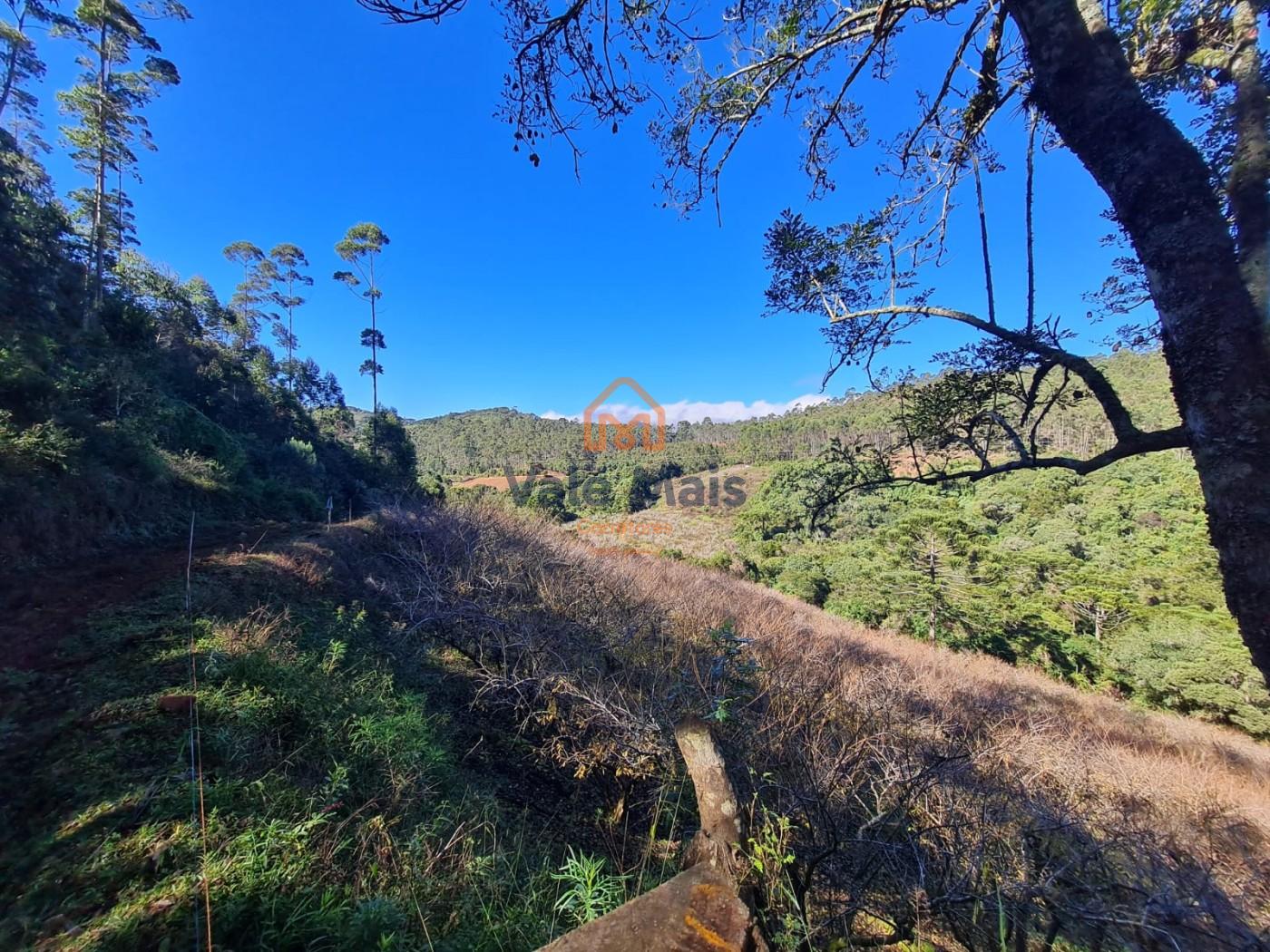 Fazenda, 19 hectares - Foto 17