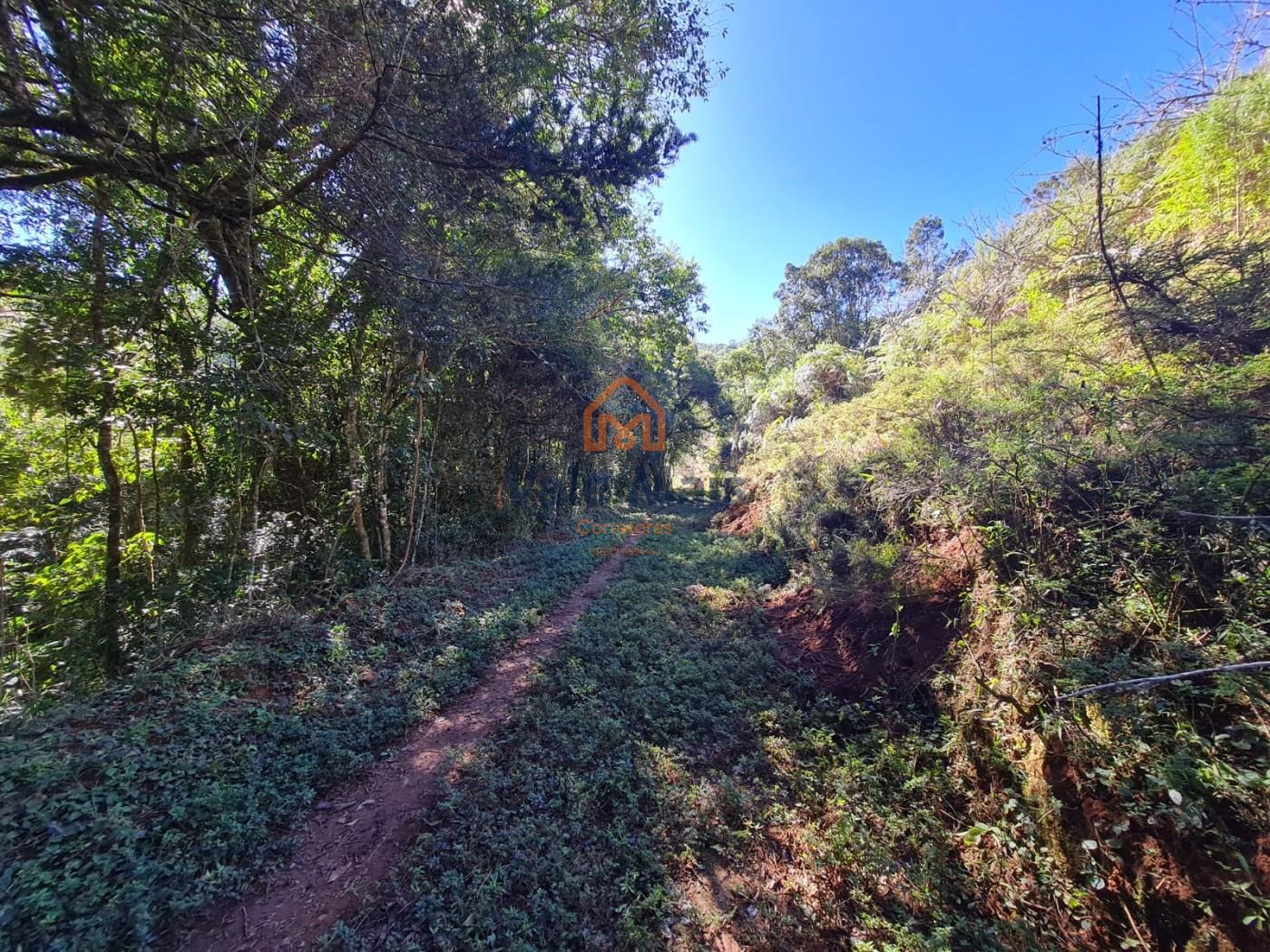 Fazenda, 19 hectares - Foto 20