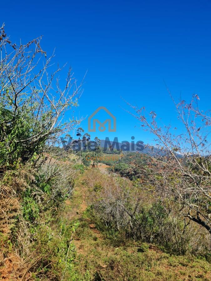 Fazenda, 19 hectares - Foto 19
