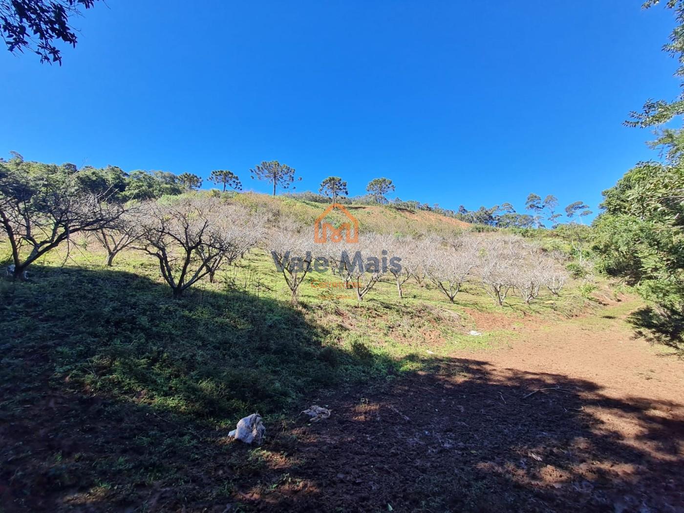 Fazenda, 19 hectares - Foto 18