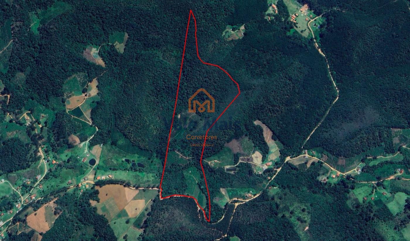 Fazenda, 19 hectares - Foto 37