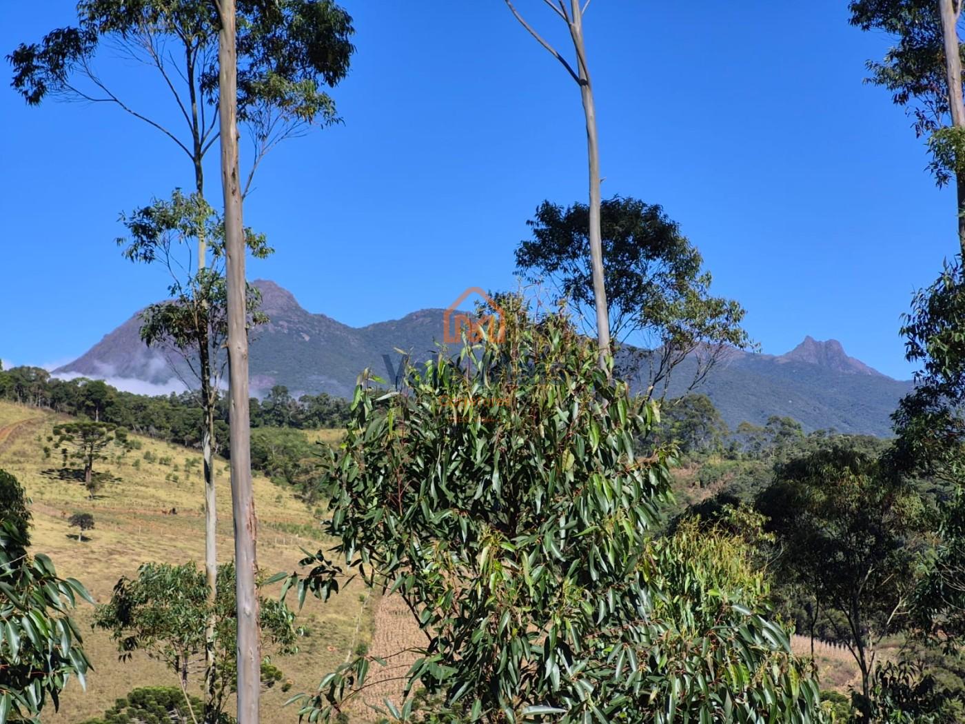 Fazenda, 19 hectares - Foto 32